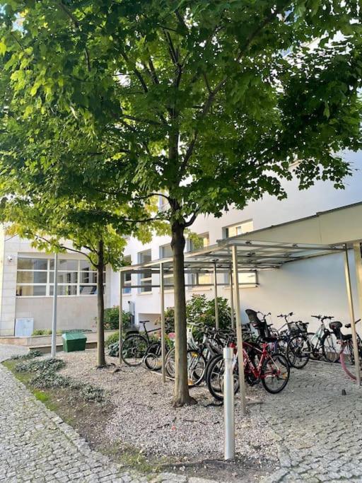 Cozy, Bright Apartment, Garage, Mokotow Butas Warsaw